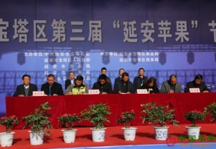 陕西延安：宝塔区第三届苹果节开幕 ()