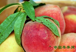 江苏常州：地产冬桃上市 ()