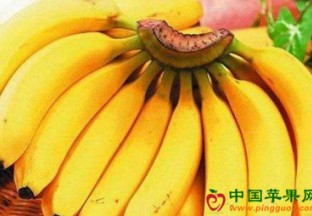 河南万邦果品市场：香蕉价格涨势明显 ()