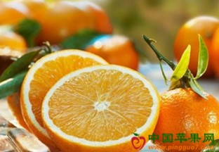 柑桔类水果产量继续增加 ()