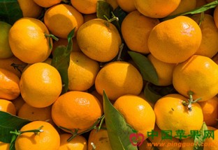 哈尔滨对俄跨境果蔬大通道投用 ()