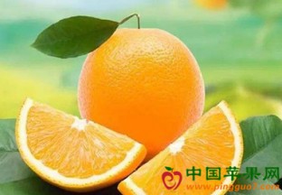 广西玉林：柑橘类水果价格低廉 ()