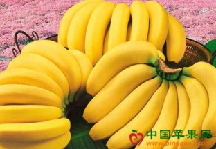广西柳州：香蕉量少 价格持续上涨 ()
