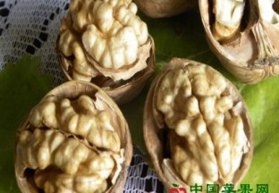 新疆阿克苏：“阿克苏好果园”助力扶贫 ()