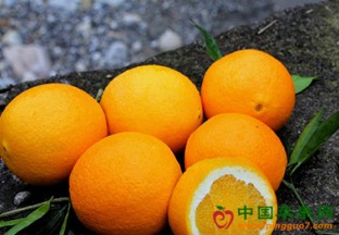 湖南怀化：冰糖橙丰收节成功举办 ()