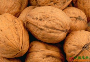 河南林州市：大力扶植林果产业发展 ()