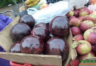 云南：持续推动“云果”区域品牌建设 ()