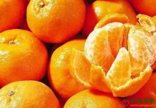 浙江安吉：柑橘类水果抢占市场 ()