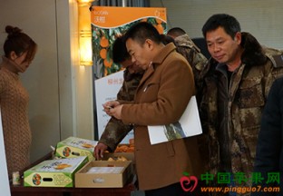 河南郑州：柳州柑桔推介会召开 ()