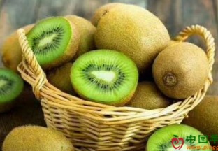 贵州毕节：大棚猕猴桃助果农增收致富 ()