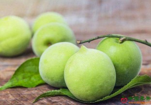 贵州荔波：推动青梅产业发展 助力精准扶贫 ()