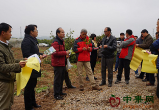 广西南宁：加强柑橘质量安全生产工作 ()