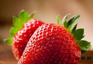 山东诸城：草莓丰收迎新年 ()