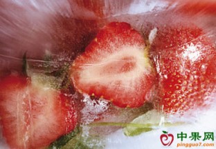 湖南永州：草莓带动百姓增收 ()