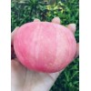 85井红富士