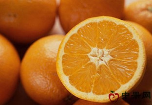 湖北荆门：果冻橙开启致富新征程 ()