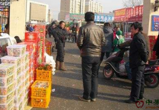 河北秦皇岛市：批发市场水果价格稳定 ()