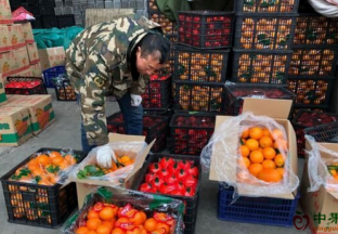 山东济宁：节后水果销售回落 ()