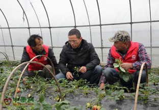 浙江农技帮扶好处多 ()