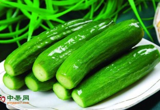 水果型黄瓜“绿翠”获河南省科学技术进步奖 ()