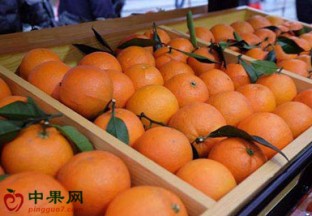 重庆开县：电商扶贫带动果农增收 ()