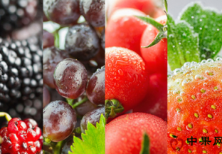 江苏徐州：水果产量、价格下滑明显 ()