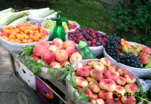 太原：水果价格整体下滑 ()
