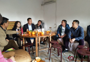 四川柑桔：技术帮扶 共同致富 ()