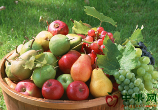 南方水果产量预估 ()