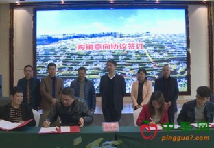 四川宜宾：优质水果推介会成功举办 ()