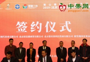 四川眉山：眉山春橘产销对接会在京举行 ()