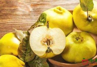 四种新疆特色水果 ()