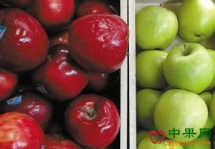 广东广州：苹果价格创十年新高 ()