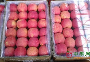 山西太原：丈子头市场水果价跌 ()