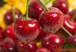 江苏：鲜果上市 价格不低 ()