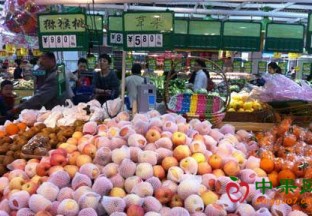 山东济宁：平民苹果卖出“贵族价” ()