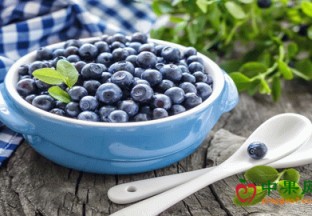 安徽怀宁：推广蓝莓种植 带动百姓致富 ()