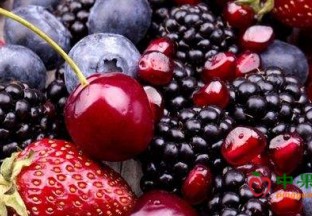 浙江台州：本地桑葚、樱桃卖出高“身价” ()