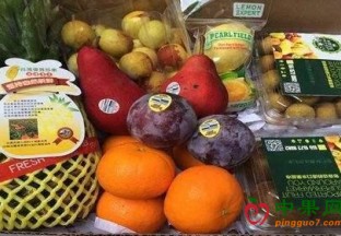 福建厦门：进口水果来势汹汹 ()