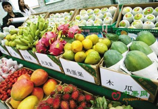 河南平顶山：热带当季水果受亲睐 ()