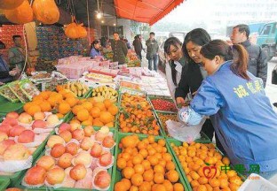 山西永济：冬枣智能化种植 带动产业发展 ()