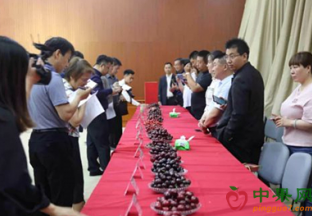 中国十大好吃樱桃榜单出炉 ()