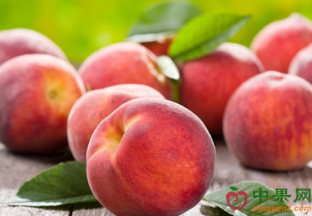 福建厦门：水果价格涨幅明显 ()