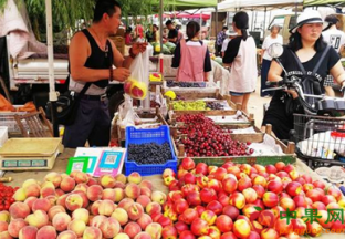 广东中山：水果价格涨势汹涌 ()