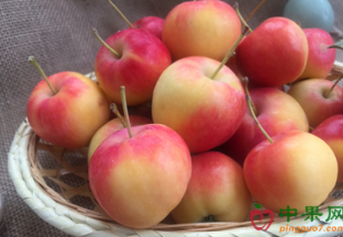 浙江杭州：今年水果为啥价格高 ()