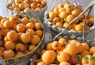 浙江宁波：市场水果价格回落明显 ()