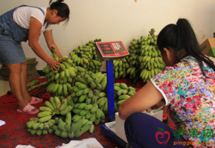 陕西西安：水果价格有望下调 ()