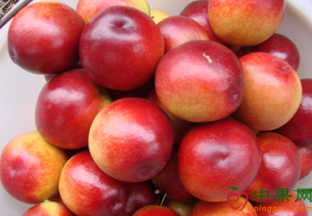 安徽合肥：部分水果价格小跌 ()