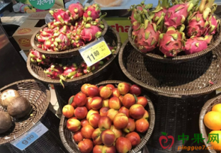 山东济南：水果价格日渐回落 ()
