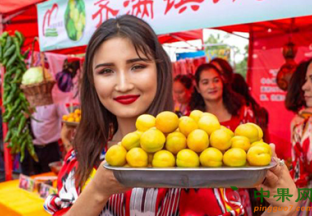 新疆库车：小白杏文旅节成功举行 ()